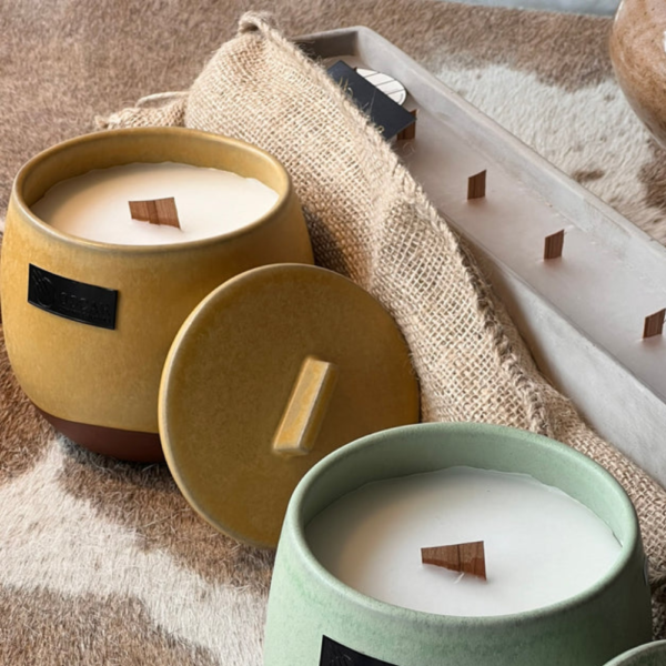 Ceramic pots with lids- Indoor & Outdoor