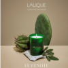 The Cenote, Tulum - Mexico, Scented Candle - Image 2