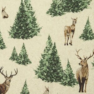 Forest Glade