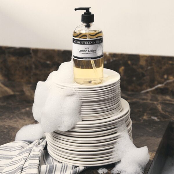 Dish Wash Lemon Notes