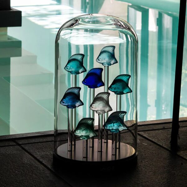 8 FISH AQUARIUM BASE