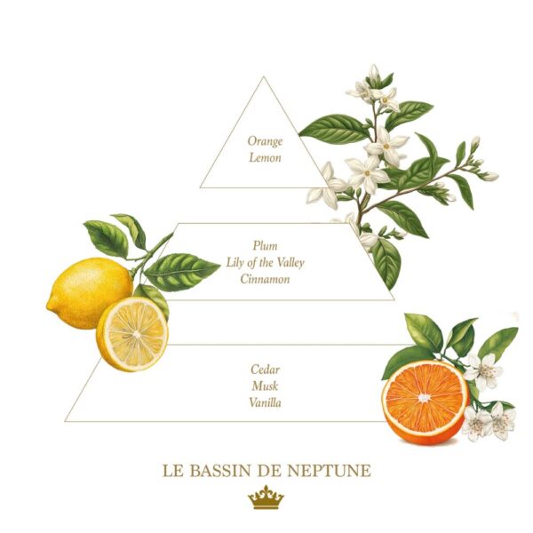 Le bassin de Neptune - Royal Gift Bundle
