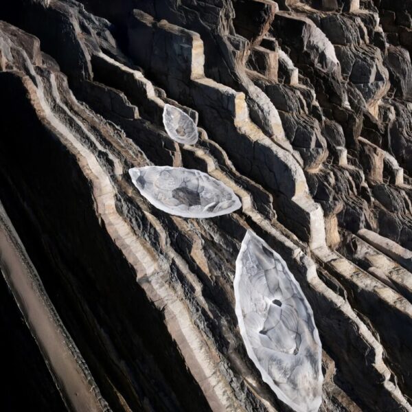 Silex Bowl, Small size Clear crystal