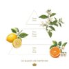 Le bassin de Neptune Bundle - Image 6