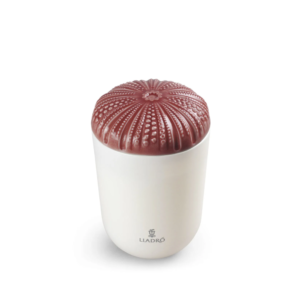 Echoes of Nature Candle. Mediterranean Beach